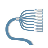 Multi-Channel Snakes